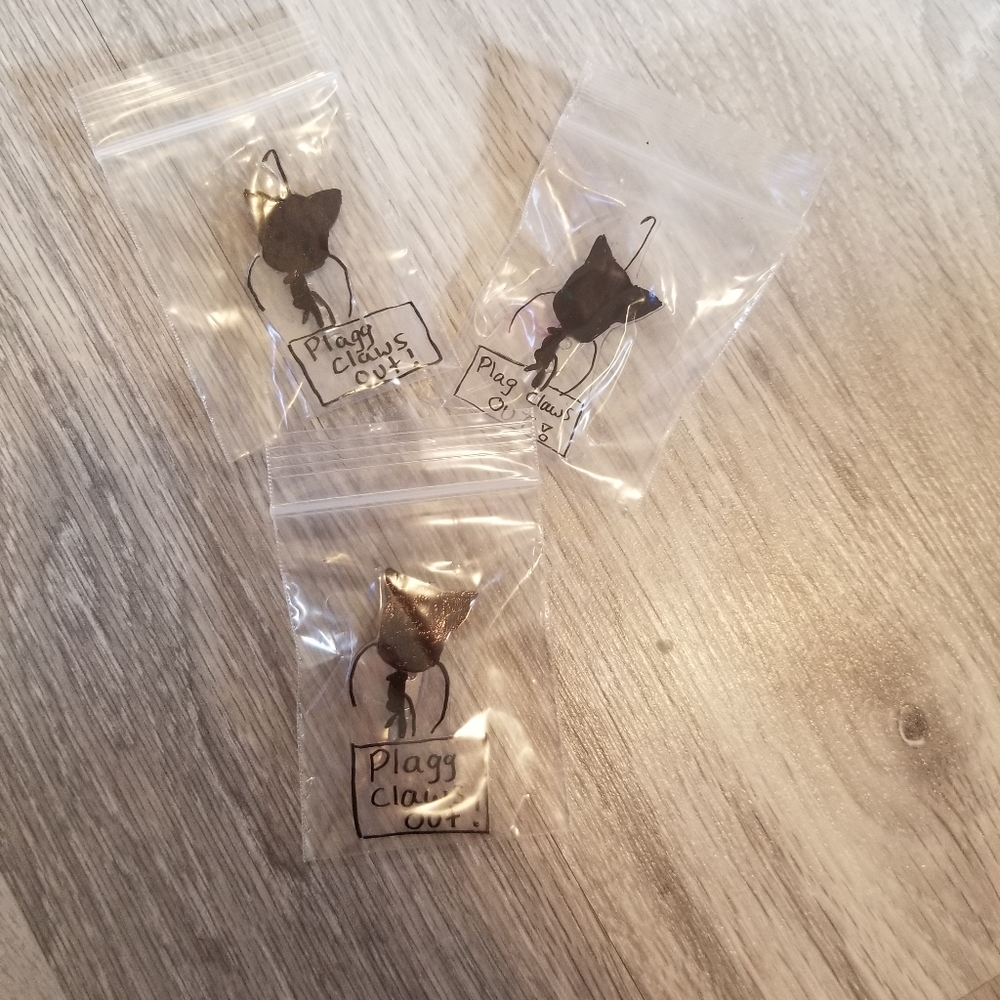 Plag Shrinky Dinks pins